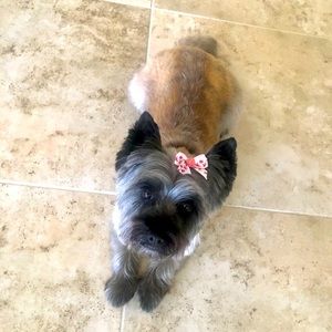 Meet your Posher, Mary